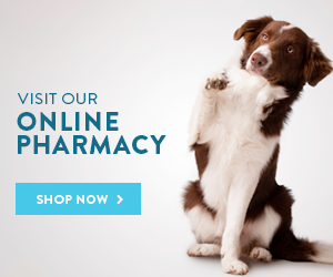 Pharmacy Veterinarian In El Paso Tx Tlc Animal Hospital